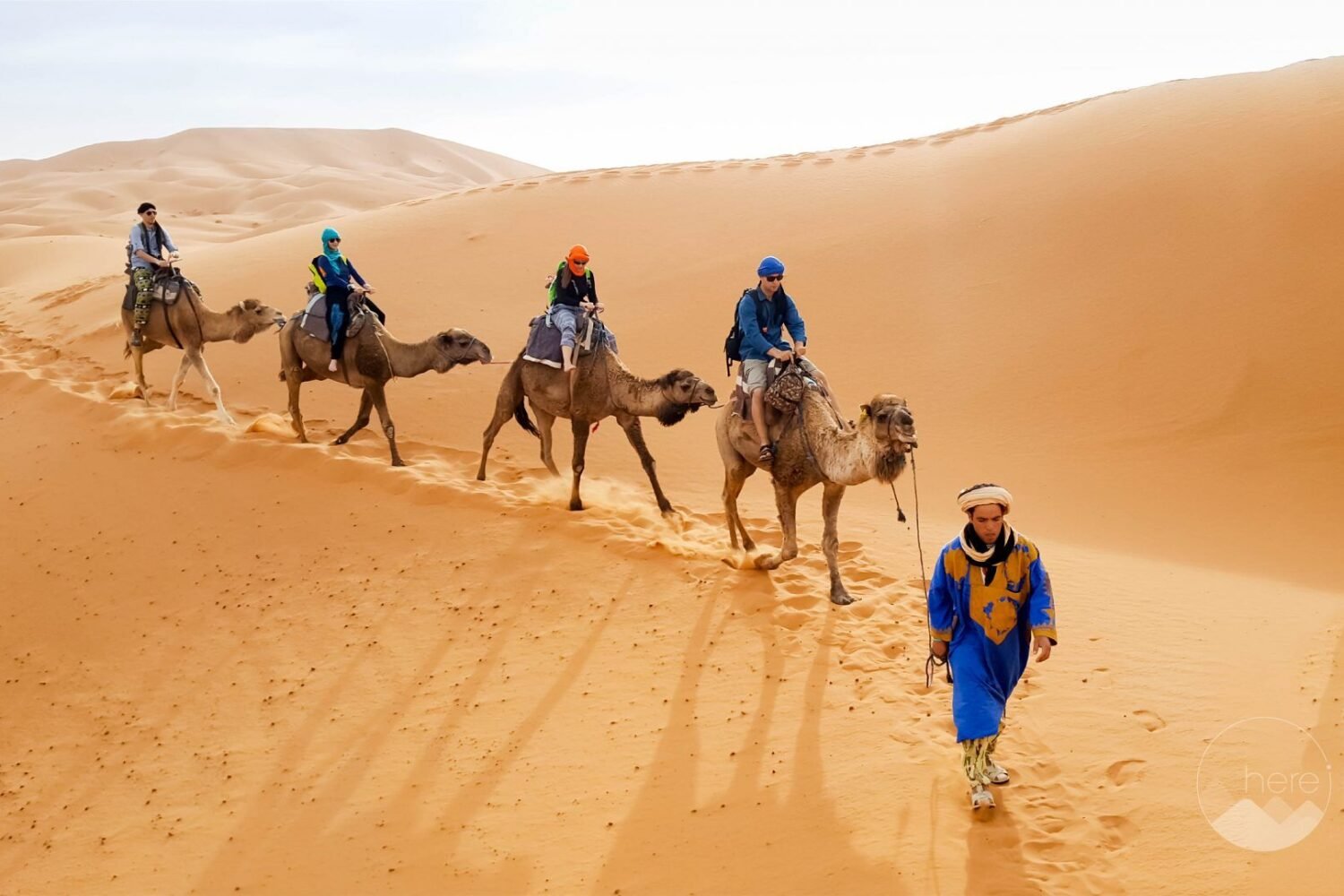 Morocco Tours