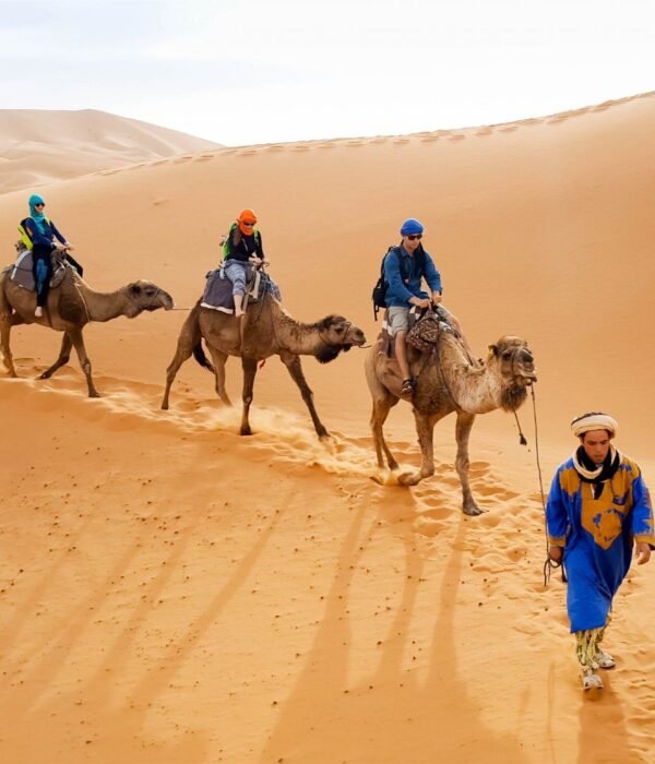 Morocco Tours