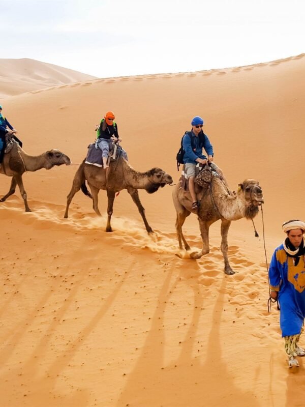 Morocco Tours